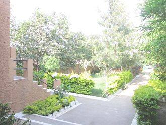 Tiger Home Stay, Bandhavgarh 5